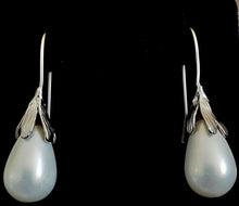 Chantelle Shell Pearl Earrings